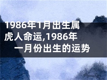 1986年1月出生属虎人命运,1986年一月份出生的运势