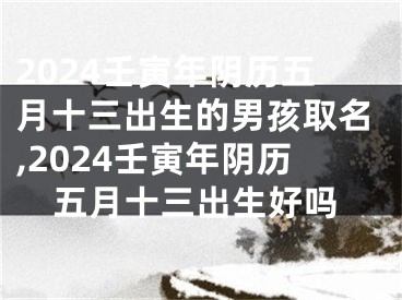 2024壬寅年阴历五月十三出生的男孩取名,2024壬寅年阴历五月十三出生好吗