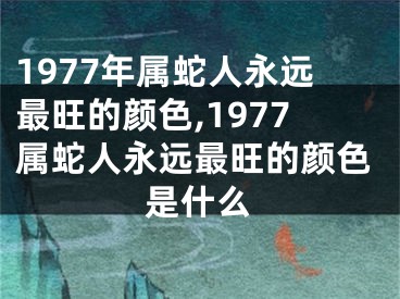 1977年属蛇人永远最旺的颜色,1977属蛇人永远最旺的颜色是什么