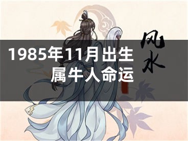 1985年11月出生属牛人命运
