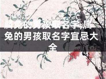 属兔的男孩取名字,属兔的男孩取名字宜忌大全