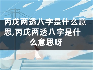 丙戊两透八字是什么意思,丙戊两透八字是什么意思呀