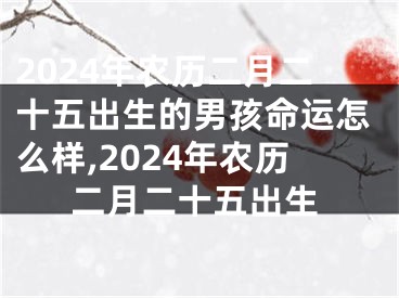 2024年农历二月二十五出生的男孩命运怎么样,2024年农历二月二十五出生