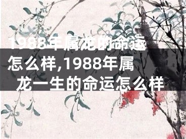 1988年属龙的命运怎么样,1988年属龙一生的命运怎么样