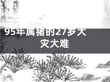 95年属猪的27岁大灾大难