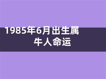 1985年6月出生属牛人命运