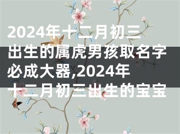 2024年十二月初三出生的属虎男孩取名字必成大器,2024年十二月初三出生的宝宝