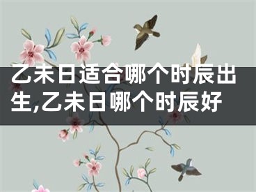 乙未日适合哪个时辰出生,乙未日哪个时辰好