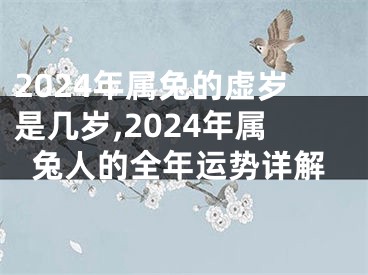2024年属兔的虚岁是几岁,2024年属兔人的全年运势详解