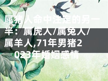 属猪人命中注定的另一半：属虎人/属兔人/属羊人,71年男猪2023年婚姻感情