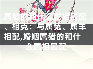 属猪的和什么属相最配、相克：与属兔、属羊相配,婚姻属猪的和什么属相最配