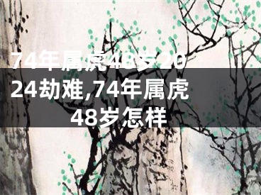 74年属虎48岁2024劫难,74年属虎48岁怎样