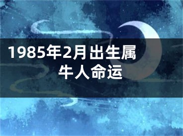 1985年2月出生属牛人命运