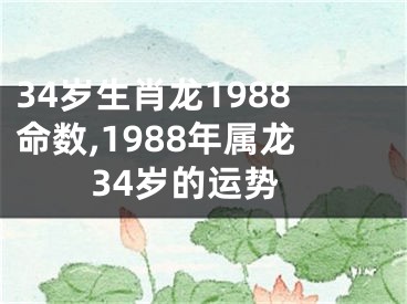 34岁生肖龙1988命数,1988年属龙34岁的运势