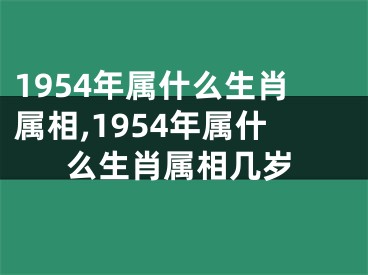 1954年属什么生肖属相,1954年属什么生肖属相几岁