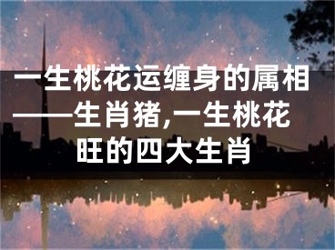 一生桃花运缠身的属相——生肖猪,一生桃花旺的四大生肖