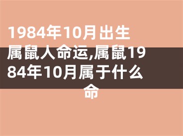 1984年10月出生属鼠人命运,属鼠1984年10月属于什么命