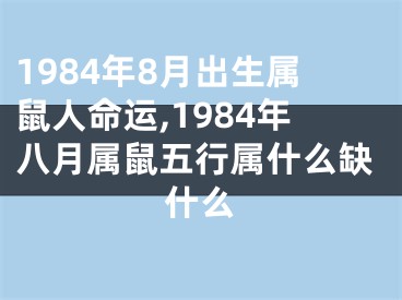 1984年8月出生属鼠人命运,1984年八月属鼠五行属什么缺什么