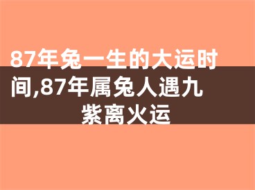 87年兔一生的大运时间,87年属兔人遇九紫离火运