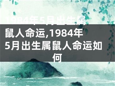 1984年5月出生属鼠人命运,1984年5月出生属鼠人命运如何