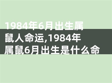 1984年6月出生属鼠人命运,1984年属鼠6月出生是什么命