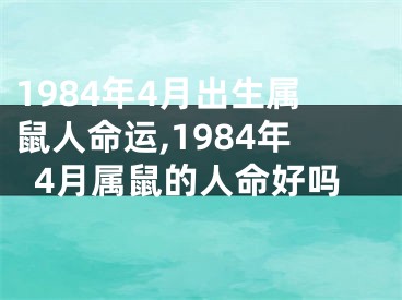 1984年4月出生属鼠人命运,1984年4月属鼠的人命好吗
