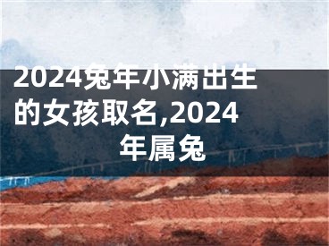 2024兔年小满出生的女孩取名,2024年属兔