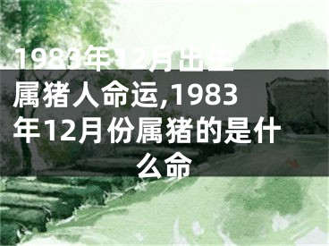 1983年12月出生属猪人命运,1983年12月份属猪的是什么命