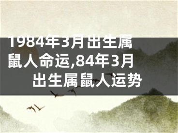 1984年3月出生属鼠人命运,84年3月出生属鼠人运势