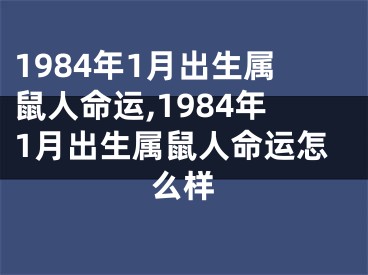 1984年1月出生属鼠人命运,1984年1月出生属鼠人命运怎么样