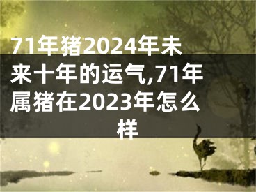 71年猪2024年未来十年的运气,71年属猪在2023年怎么样