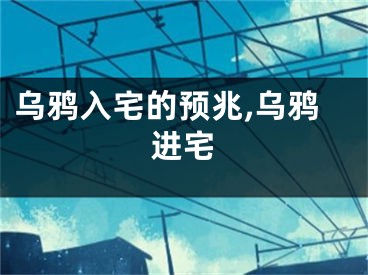 乌鸦入宅的预兆,乌鸦进宅