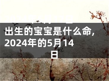 2024年5月17日出生的宝宝是什么命,2024年的5月14日