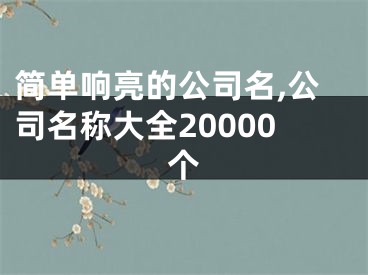 简单响亮的公司名,公司名称大全20000个