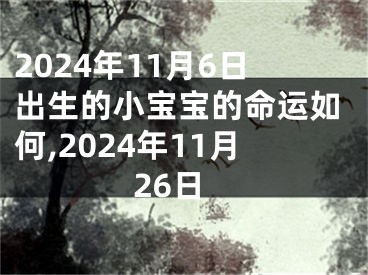 2024年11月6日出生的小宝宝的命运如何,2024年11月26日