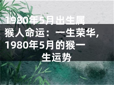 1980年5月出生属猴人命运：一生荣华,1980年5月的猴一生运势