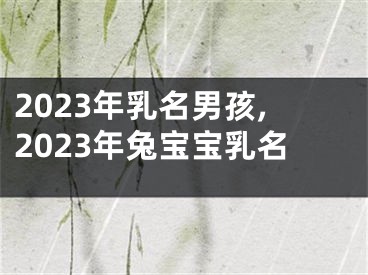 2023年乳名男孩,2023年兔宝宝乳名