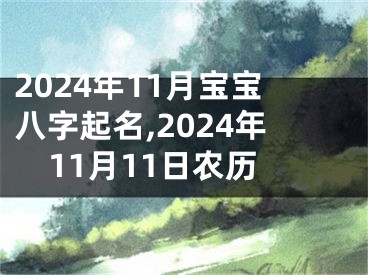 2024年11月宝宝八字起名,2024年11月11日农历