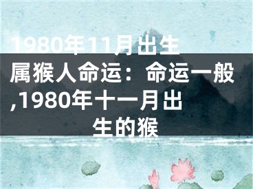 1980年11月出生属猴人命运：命运一般,1980年十一月出生的猴