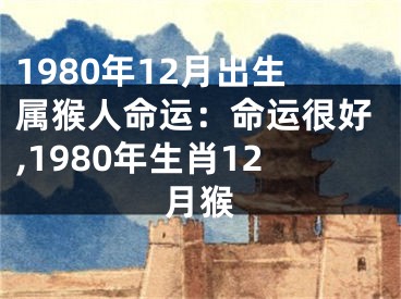 1980年12月出生属猴人命运：命运很好,1980年生肖12月猴