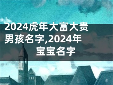 2024虎年大富大贵男孩名字,2024年宝宝名字