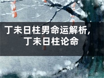 丁未日柱男命运解析,丁未日柱论命