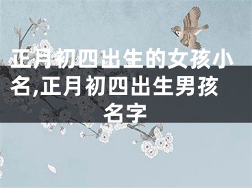 正月初四出生的女孩小名,正月初四出生男孩名字