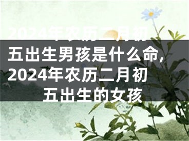 2024年农历二月初五出生男孩是什么命,2024年农历二月初五出生的女孩