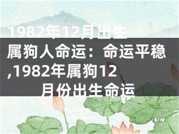 1982年12月出生属狗人命运：命运平稳,1982年属狗12月份出生命运
