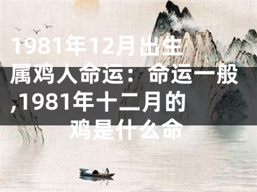 1981年12月出生属鸡人命运：命运一般,1981年十二月的鸡是什么命
