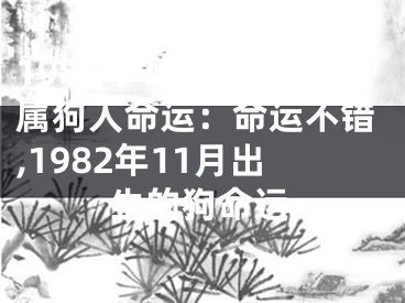 1982年11月出生属狗人命运：命运不错,1982年11月出生的狗命运