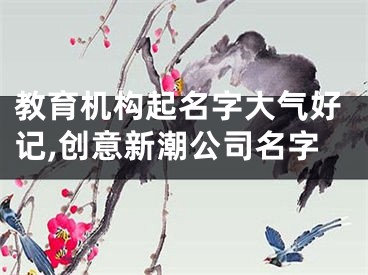 教育机构起名字大气好记,创意新潮公司名字