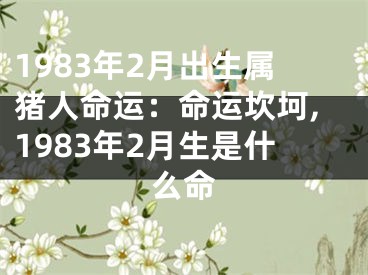 1983年2月出生属猪人命运：命运坎坷,1983年2月生是什么命