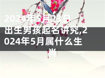 2024年5月23日出生男孩起名讲究,2024年5月属什么生肖